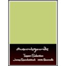 TOPPER SPANNBETTLAKEN für Boxspringbetten Topper Spannbetttuch Box-Springbett 140x200-160x220 08-hellgrün